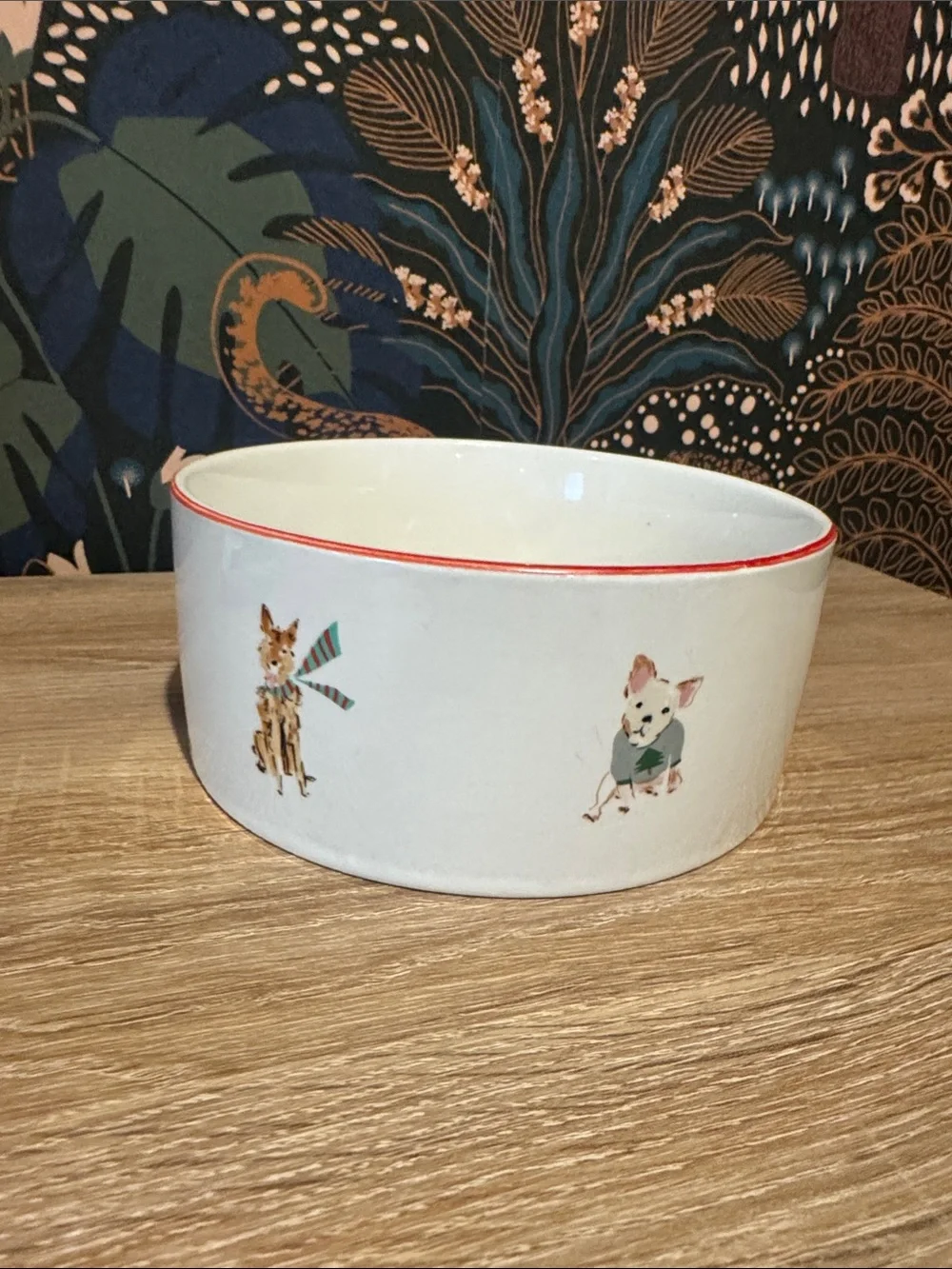 NWOT | Beth Briggs Holiday dog bowl